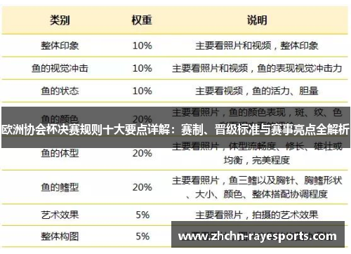 欧洲协会杯决赛规则十大要点详解：赛制、晋级标准与赛事亮点全解析