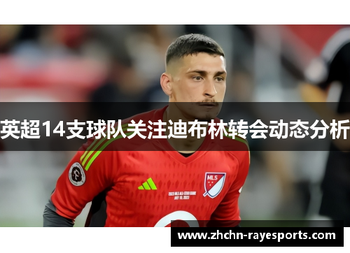 英超14支球队关注迪布林转会动态分析