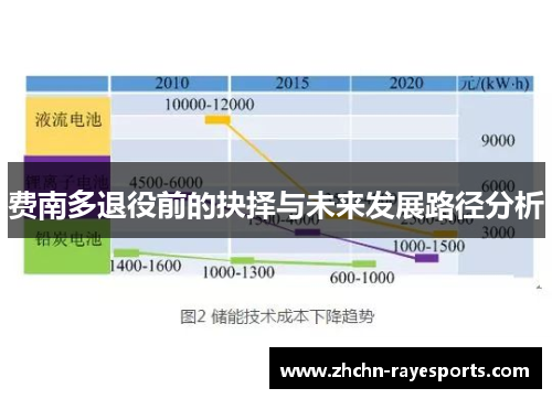 费南多退役前的抉择与未来发展路径分析