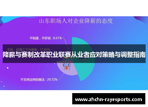 降薪与赛制改革职业联赛从业者应对策略与调整指南 降薪与赛制改革职业联赛从业者应对策略与调整指南