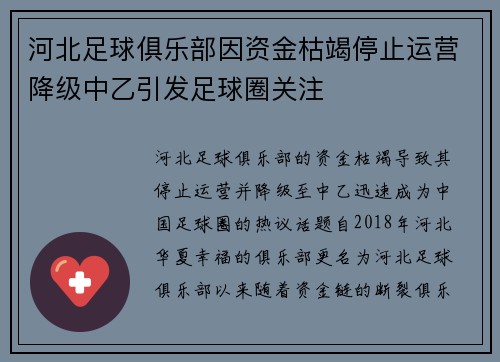 河北足球俱乐部因资金枯竭停止运营降级中乙引发足球圈关注